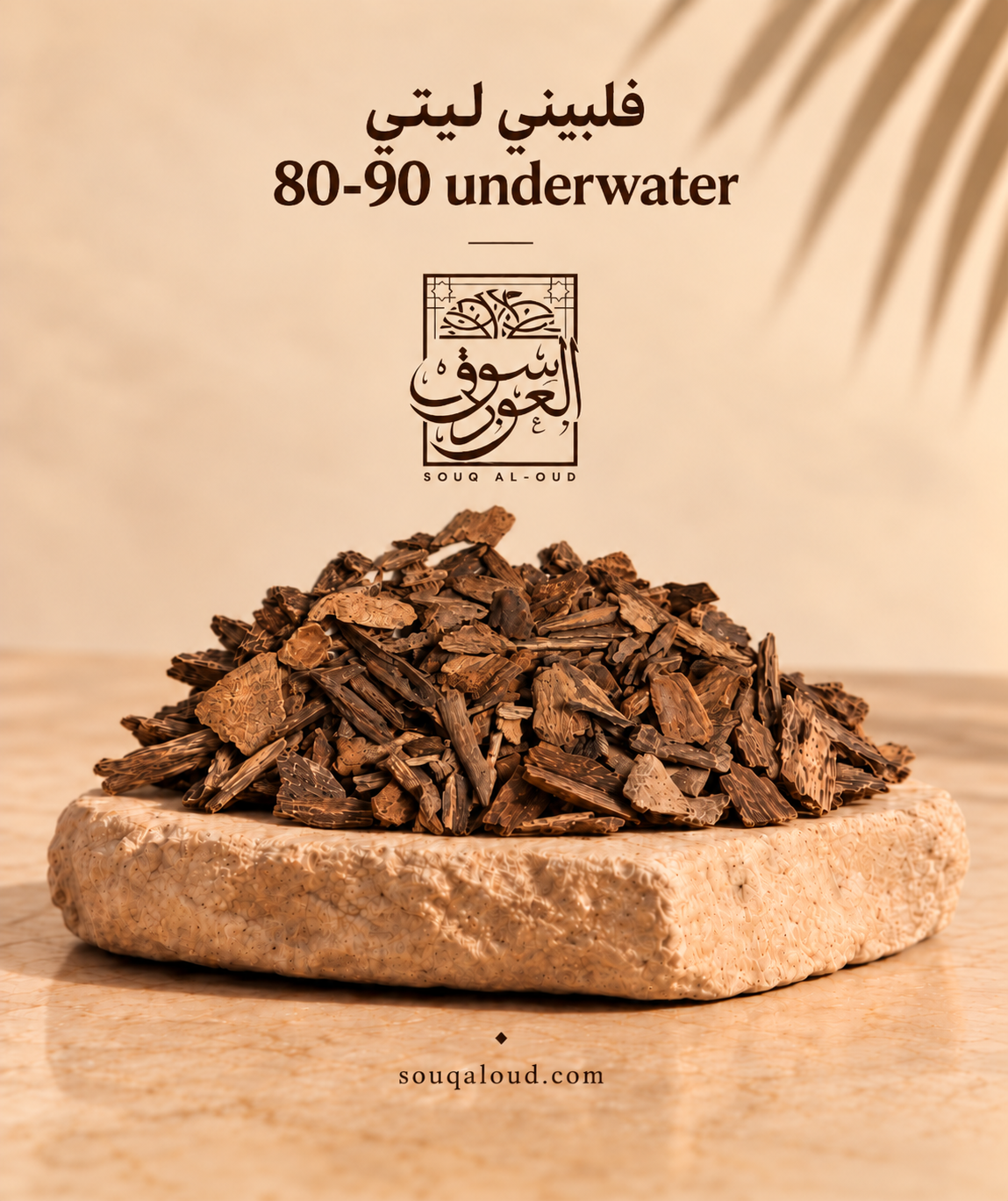فلبيني ليتي 80-90 underwater
